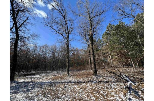 23.5+/- ACRES W 6th Dr, Hancock, WI 54943