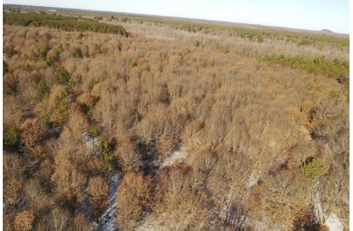 23.5+/- ACRES W 6th Dr, Hancock, WI 54943