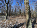 23.5+/- ACRES W 6th Dr, Hancock, WI 54943