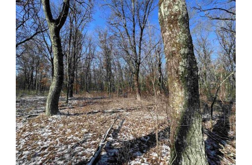 23.5+/- ACRES W 6th Dr, Hancock, WI 54943