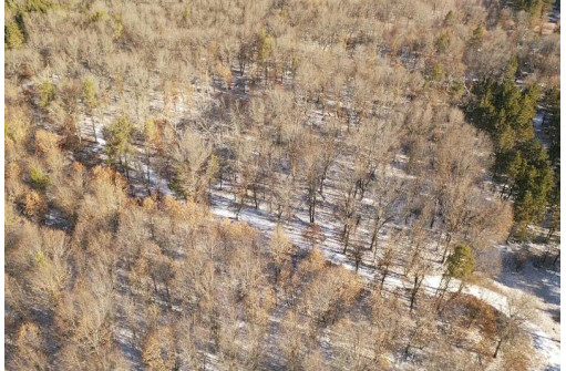 23.5+/- ACRES W 6th Dr, Hancock, WI 54943