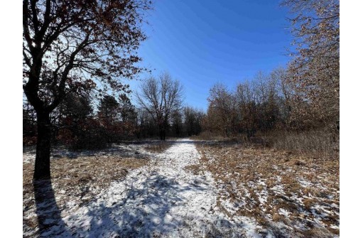 23.5+/- ACRES W 6th Dr, Hancock, WI 54943