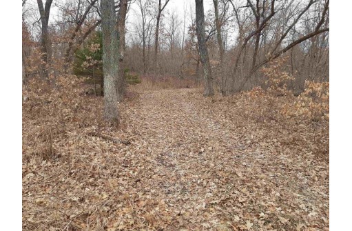 10 +/- ACRES Coon Bluff Rd, Reedsburg, WI 53959