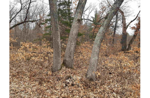 10 +/- ACRES Coon Bluff Rd, Reedsburg, WI 53959