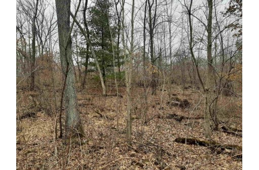 10 +/- ACRES Coon Bluff Rd, Reedsburg, WI 53959