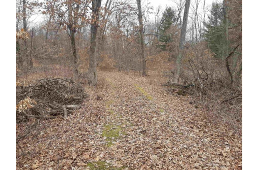 10 +/- ACRES Coon Bluff Rd, Reedsburg, WI 53959