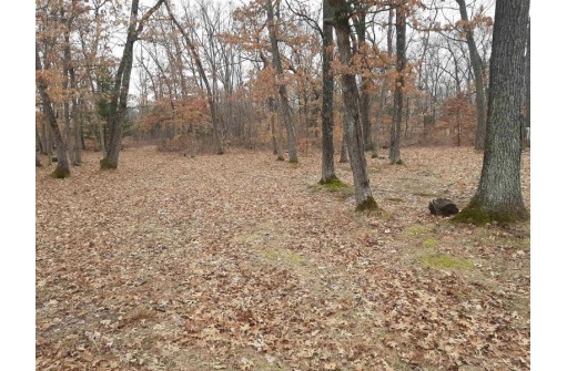 10 +/- ACRES Coon Bluff Rd, Reedsburg, WI 53959