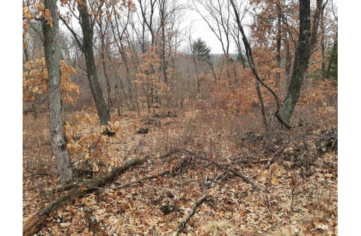 10 +/- ACRES Coon Bluff Rd, Reedsburg, WI 53959