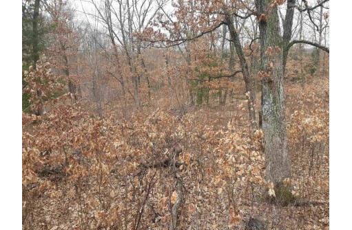 10 +/- ACRES Coon Bluff Rd, Reedsburg, WI 53959