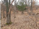 10 +/- ACRES Coon Bluff Rd, Reedsburg, WI 53959