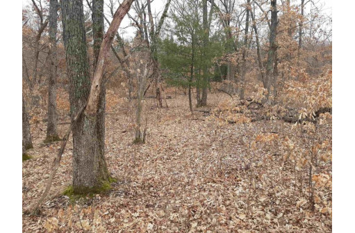 10 +/- ACRES Coon Bluff Rd, Reedsburg, WI 53959