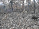 10 +/- ACRES Coon Bluff Rd, Reedsburg, WI 53959