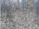 10 +/- ACRES Coon Bluff Rd, Reedsburg, WI 53959