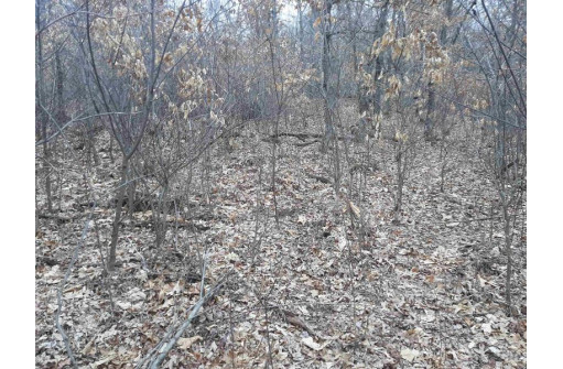 10 +/- ACRES Coon Bluff Rd, Reedsburg, WI 53959