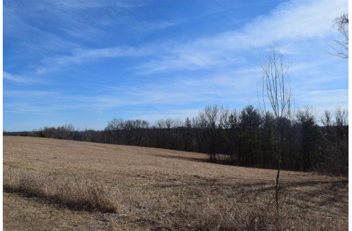 9.837 AC Victory Ridge Rd, De Soto, WI 54624