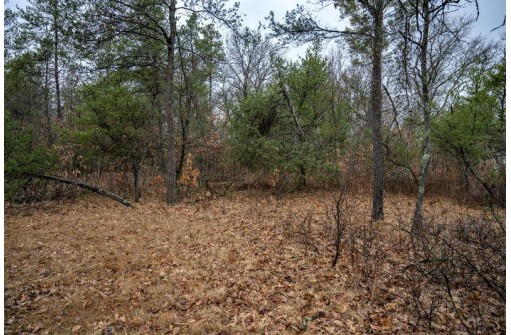 N10453 Timber Ln, Necedah, WI 54646