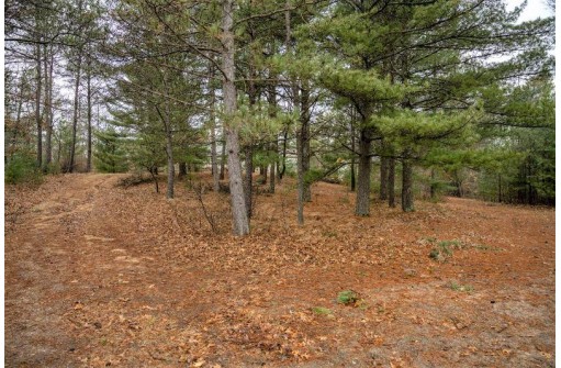 N10453 Timber Ln, Necedah, WI 54646