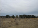 19.85 AC 5th Ln, Oxford, WI 53952