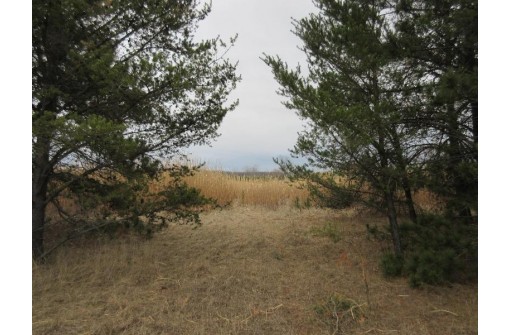 19.85 AC 5th Ln, Oxford, WI 53952