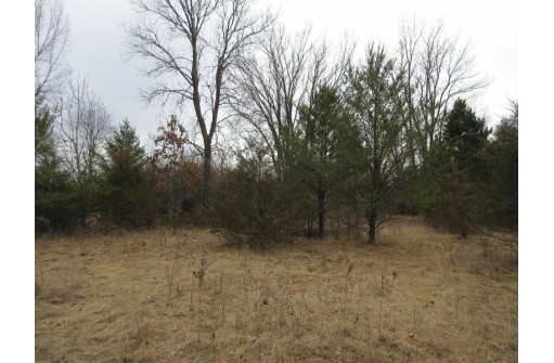 19.85 AC 5th Ln, Oxford, WI 53952