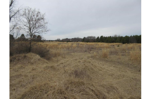 19.85 AC 5th Ln, Oxford, WI 53952