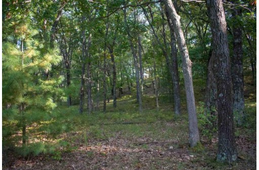 N7179 Timber Ridge Ln, Mauston, WI 53948