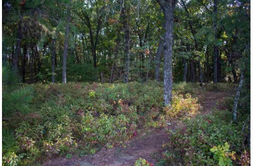 N7179 Timber Ridge Ln, Mauston, WI 53948