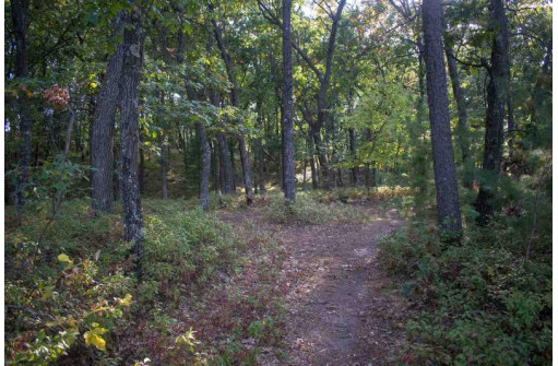 N7179 Timber Ridge Ln, Mauston, WI 53948