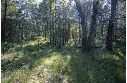 N7078 Lake Rd, Mauston, WI 53948