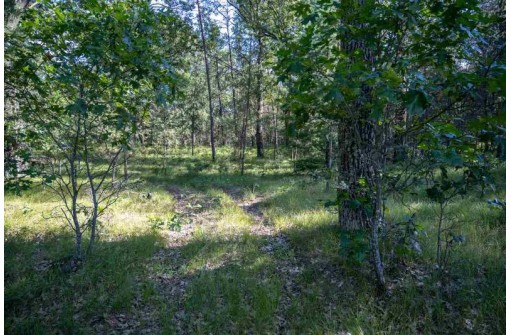 N7078 Lake Rd, Mauston, WI 53948