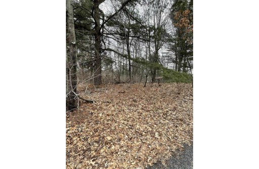 LOT 2 Virginia St, Reedsburg, WI 53959