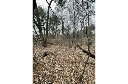 LOT 2 Virginia St, Reedsburg, WI 53959