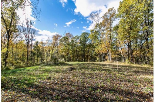 LOT 17 Birch Ln, Hazel Green, WI 53811