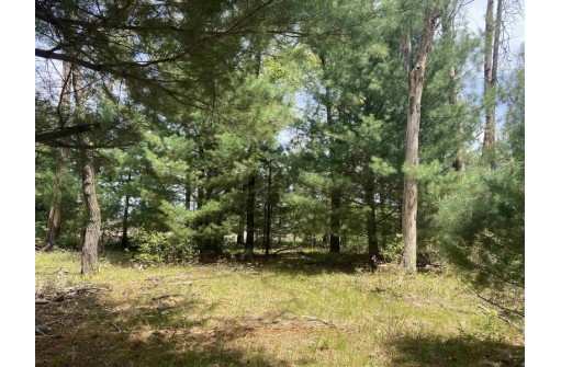 LOT 25 Osprey Dr, New Lisbon, WI 53950