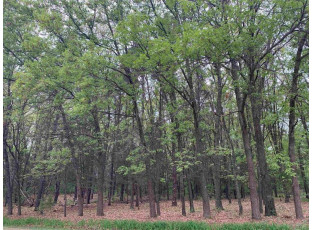 LOT 145 Buckhorn Rd Reedsburg, WI 53959