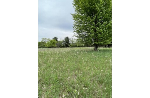 LOT 8 E Redstone Tr, La Valle, WI 53941