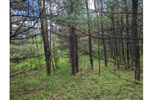 LOT 20 9th St, Westfield, WI 53964