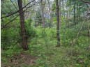 LOT 20 9th St, Westfield, WI 53964