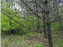 LOT 20 9th St, Westfield, WI 53964