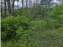 LOT 20 9th St, Westfield, WI 53964