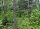 LOT 20 9th St, Westfield, WI 53964