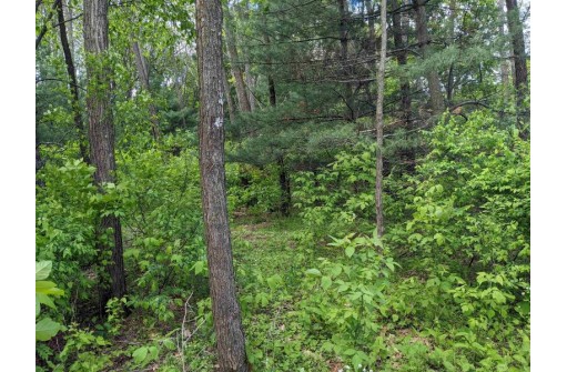 LOT 20 9th St, Westfield, WI 53964