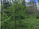 LOT 20 9th St, Westfield, WI 53964