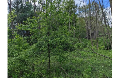 LOT 20 9th St, Westfield, WI 53964