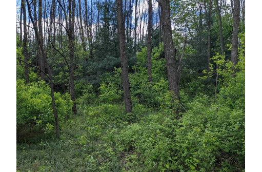 LOT 20 9th St, Westfield, WI 53964