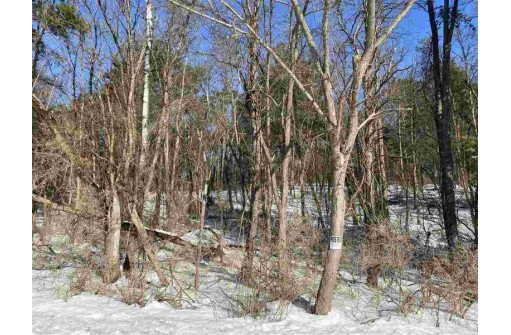 LOT 17 Pine Tree Rd, Monroe, WI 53566