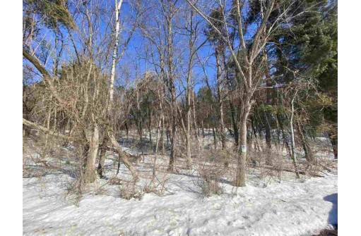 LOT 17 Pine Tree Rd, Monroe, WI 53566