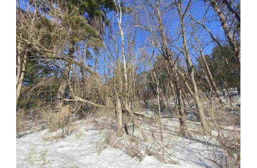 LOT 17 Pine Tree Rd, Monroe, WI 53566