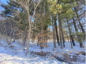 LOT 17 Pine Tree Rd