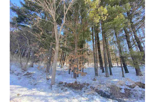 LOT 17 Pine Tree Rd, Monroe, WI 53566